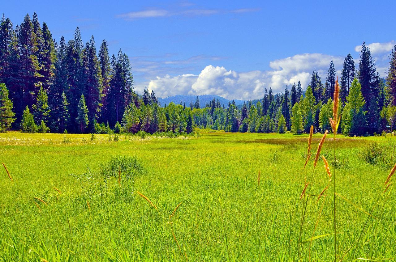 Leavenworth Camping Resort Tiny House Hanna ภายนอก รูปภาพ